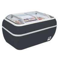 Pakasteallas Tefcold TWIN HEAD-F-Antrasiitti