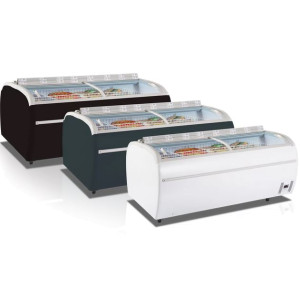 Pakasteallas Tefcold TWIN 220A-F