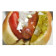Hot Dog laitteiden tarvikkeet ja raaka-aineet